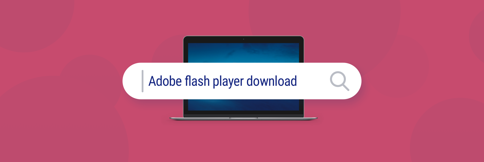 adobe flash player download for mac pro